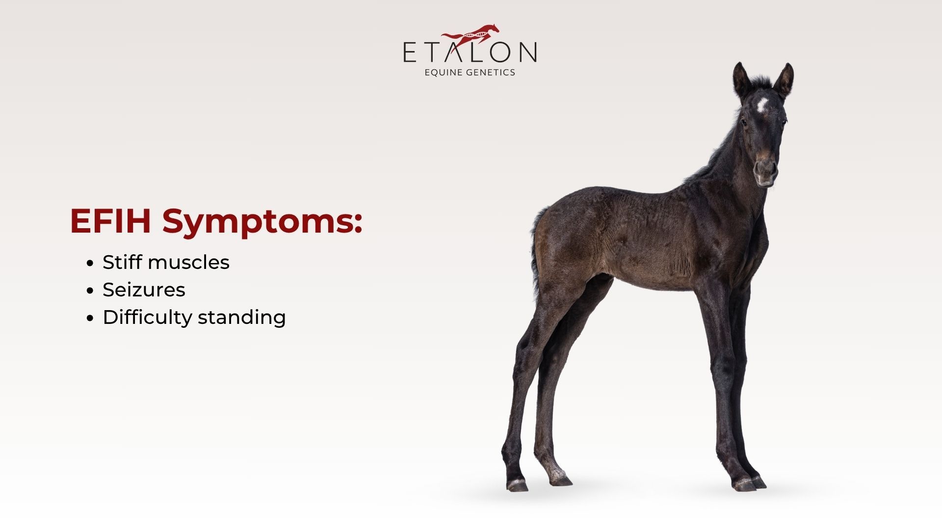 EFIH Symptoms include stiff muscles, seizures, difficulty standing, and ultimately death.