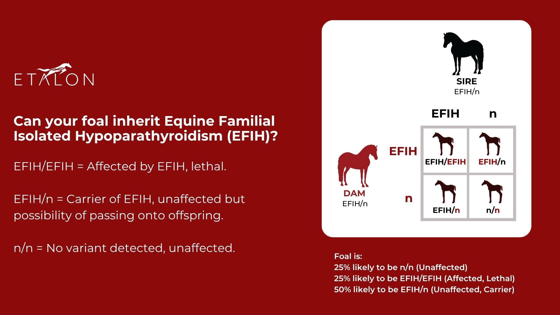 EFIH Punnett Square showing the inheritance risk of EFIH when two carriers are bred.