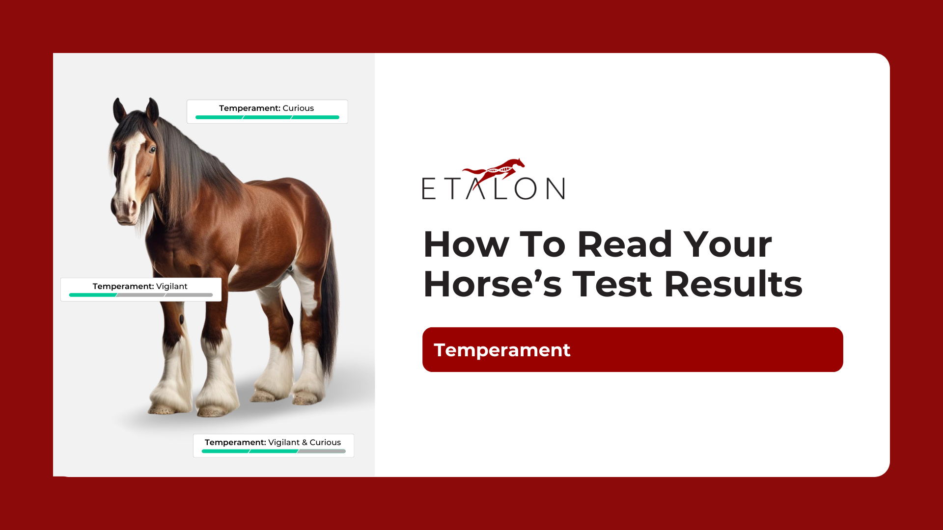 wildhorse 7 test